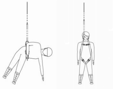 胴ベルト型とフルハーネス型の吊り体制